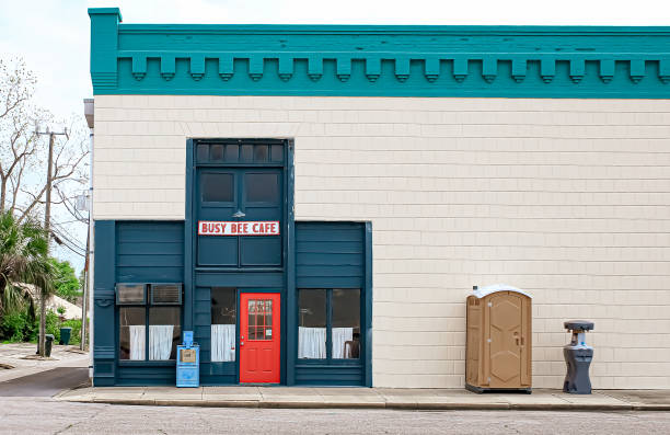 Best Local porta potty services  in Alexander, AR